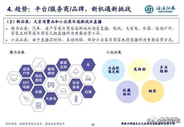 阿里巴巴子公司Shein与长沙佰赞电商概况分析标题，公司深度解析插图