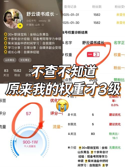 百度权重查询与ASO优化搜索排名，百度权重查询，使用工具打开百度搜索并查找权重查询，选择平台进行查询。关注site首页是否在首位，通过收录内容、反链数量变化等判断是否被降权。维护良好的站内环境和站外环境对提高网站稳定性和安全性至关重要。，ASO优化搜索排名，提高APP在电子市场的排行榜位置和搜索结果排名的过程。重点在于关键词搜索排名优化，包括完善应用信息标题和添加核心关键词吸引用户搜索下载。针对各应用商店特性调整以提高曝光度和转化率。目标是提升应用的知名度和用户体验进而推动业务发展。插图