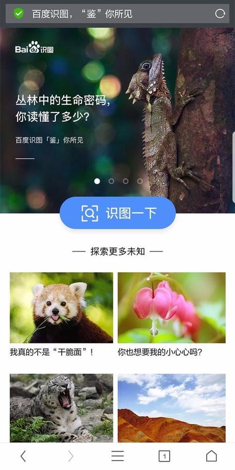 百度识图官方在线工具，以图搜图的便捷体验插图