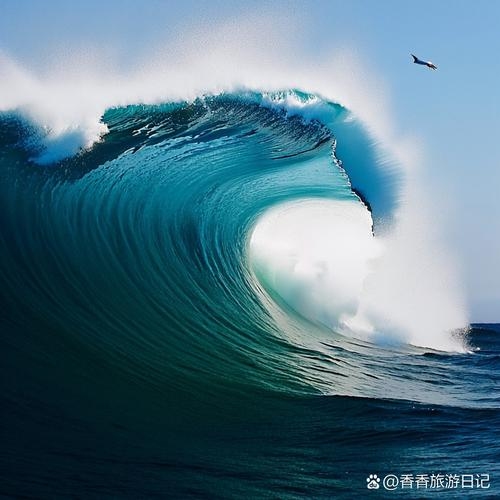 波西米亚热浪袭来插图 波西米亚热浪袭来插图