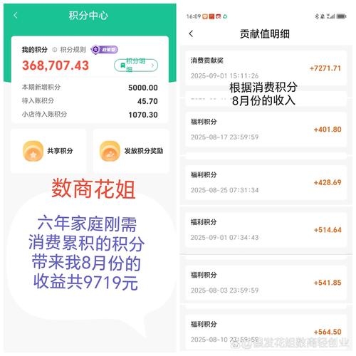 创业天下,消费积分如何赚取收益?能否提现?插图 创业天下,消费积分如何赚取收益?能否提现?插图