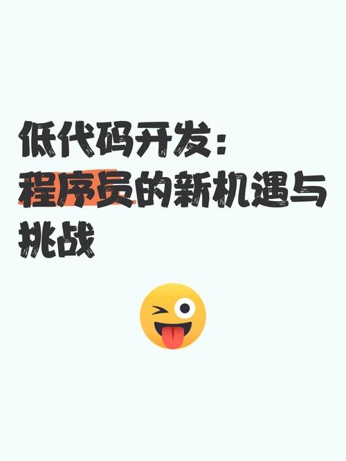 低代码开发趋势下的程序员角色变革，机遇与挑战并存插图