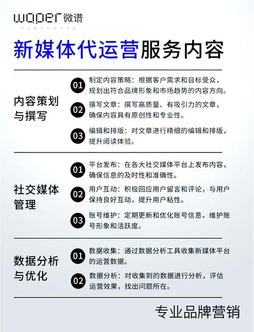 代运营全解析，从操作到策略，助力企业新媒体成长！插图