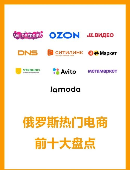 俄罗斯国内电商平台概览插图