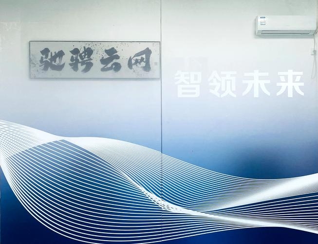 高防虚拟空间租用，专业平台与关键技术的选择插图