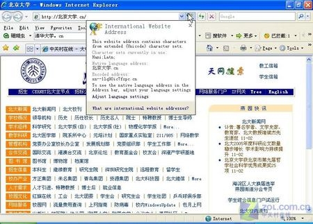 公司的中文域名有什么用插图 公司的中文域名有什么用插图