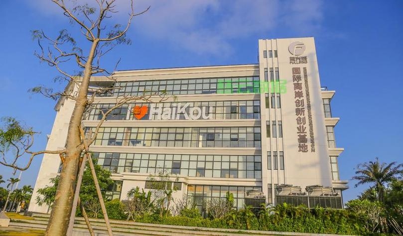 海口专业网站建设与科技发展公司插图 海口专业网站建设与科技发展公司插图