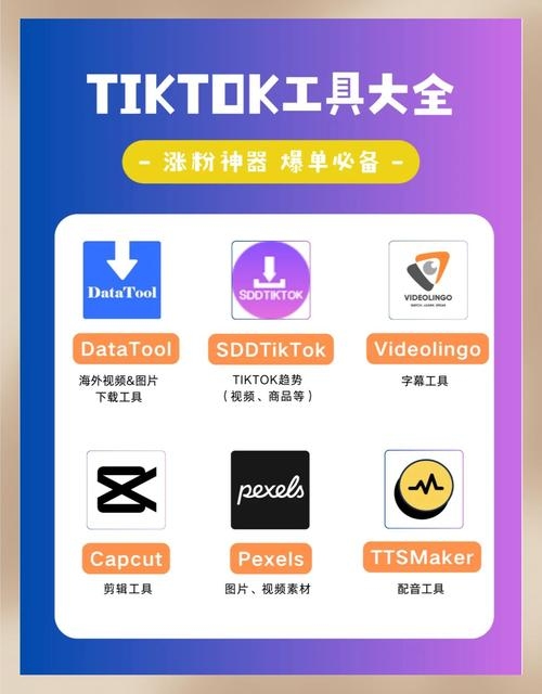 海外运营工具Bad6，功能、优势与挑战插图