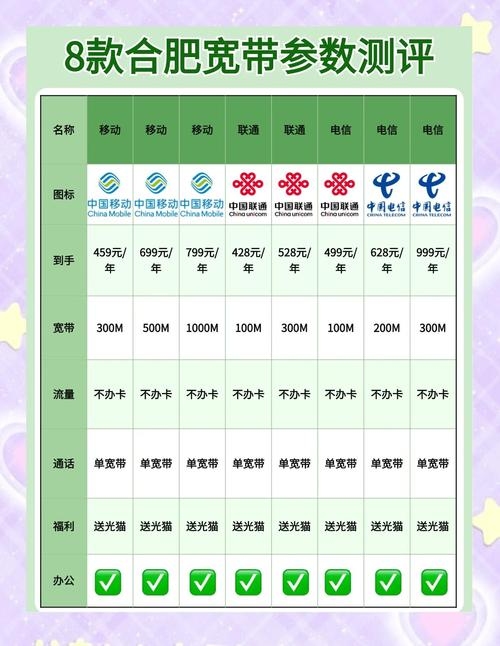 合肥网络公司及相关服务概览、宽带推荐与风险提示插图 合肥网络公司及相关服务概览、宽带推荐与风险提示插图