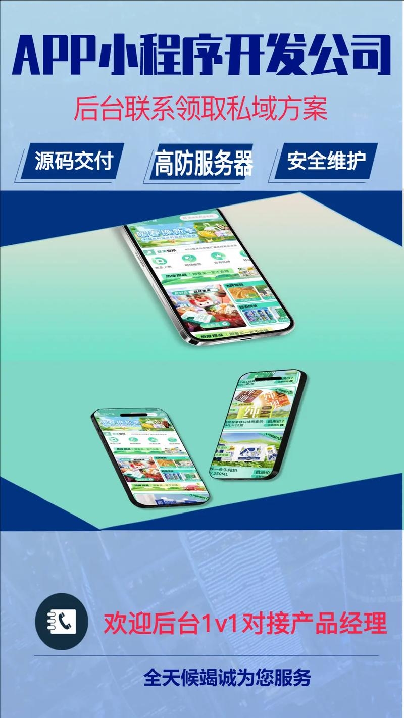 海南APP开发制作，引领数字化新时代的创新之路插图