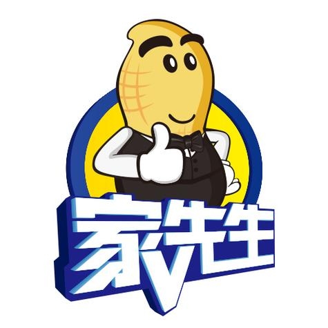 家电服务热线与家先生互联网公司插图 家电服务热线与家先生互联网公司插图