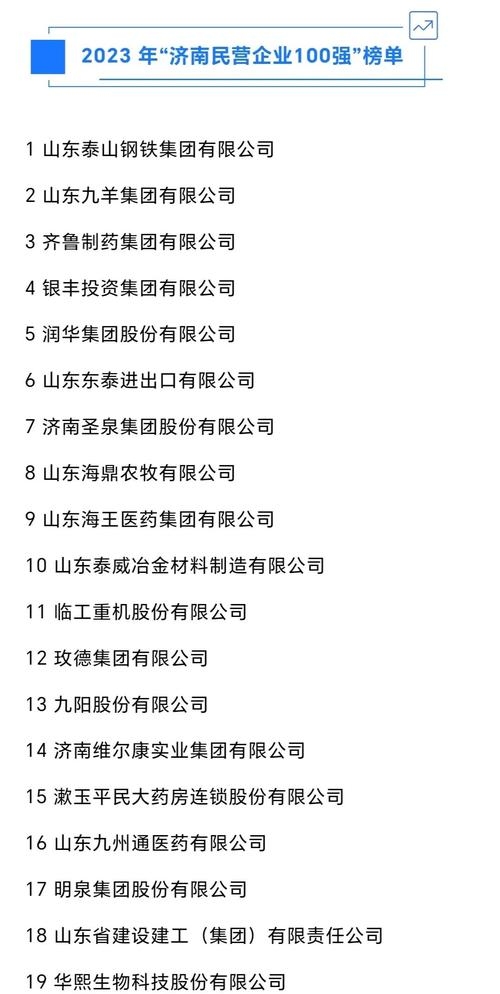 济南网站优化公司排名揭秘，新航线、鲁恒与兴田德润三大巨头解析及选择指南插图
