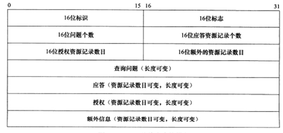建议，域名解析命令详解与操作指南，轻松掌握DNS查询技巧！插图