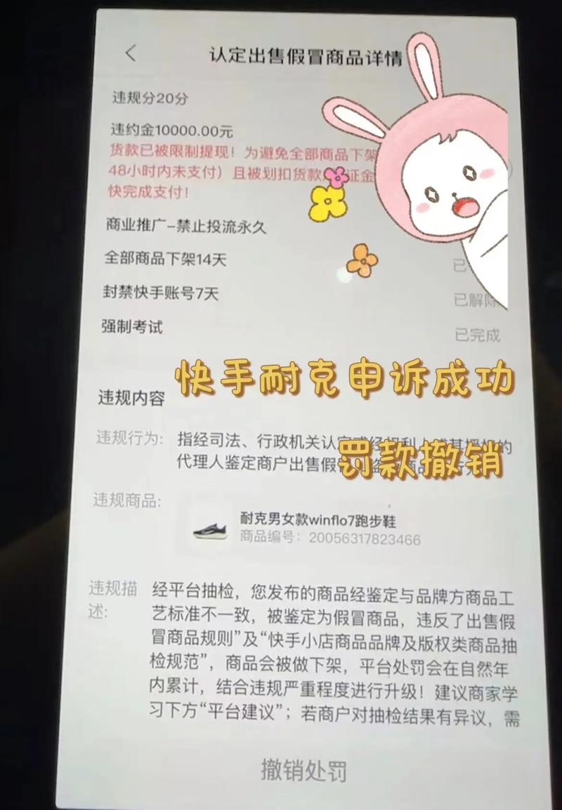 快手备案编号详解，商户合规经营的识别码，保障交易安全与合法性。插图