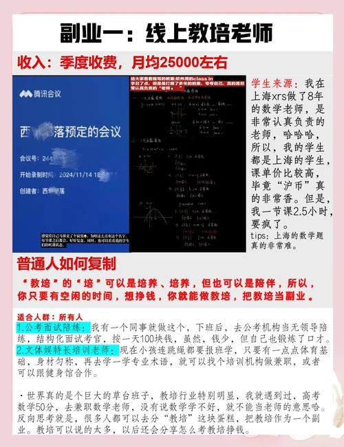 冷门赚钱项目代理，轻松上手月入过万副业指南插图