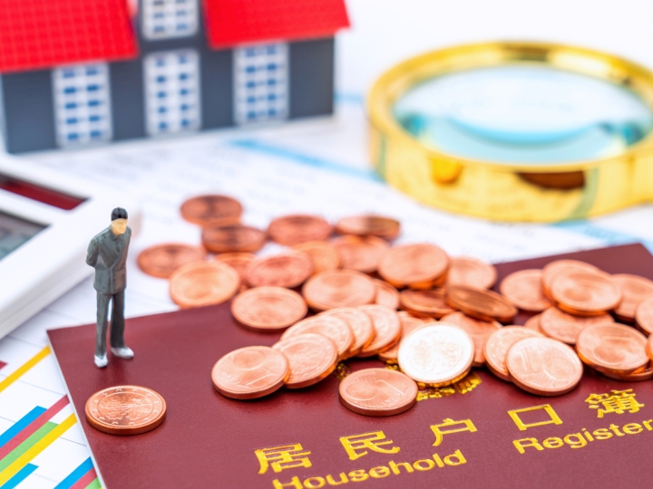 乐山购房补贴查询网站,便捷服务与政策解读插图 乐山购房补贴查询网站,便捷服务与政策解读插图