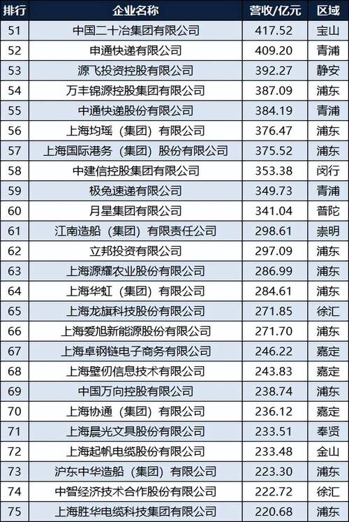 上海互联网百强企业概览插图