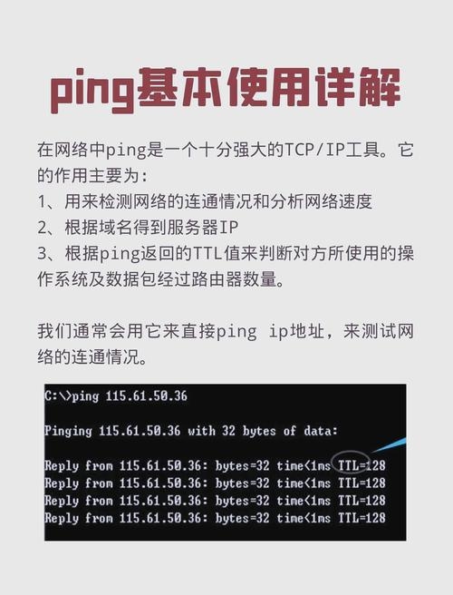 手机网络ping测试工具app的介绍与使用插图 手机网络ping测试工具app的介绍与使用插图