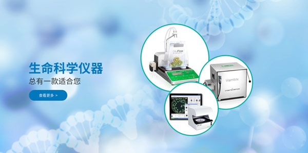 三明网站制作，探索现代网站建设的最佳实践插图