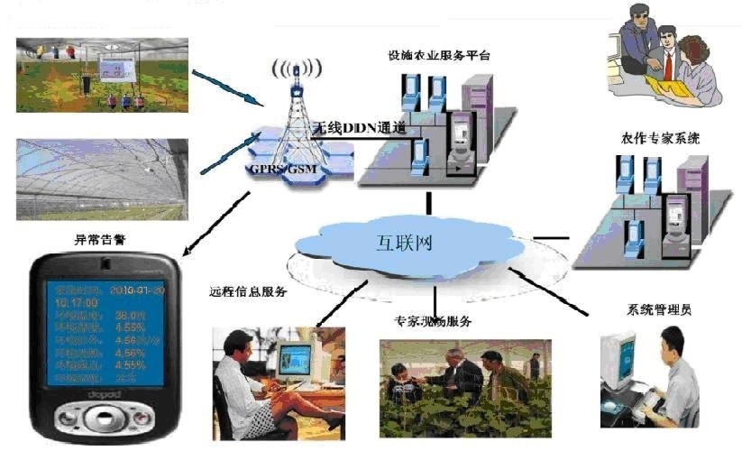 商务信息与网站综合服务保障插图