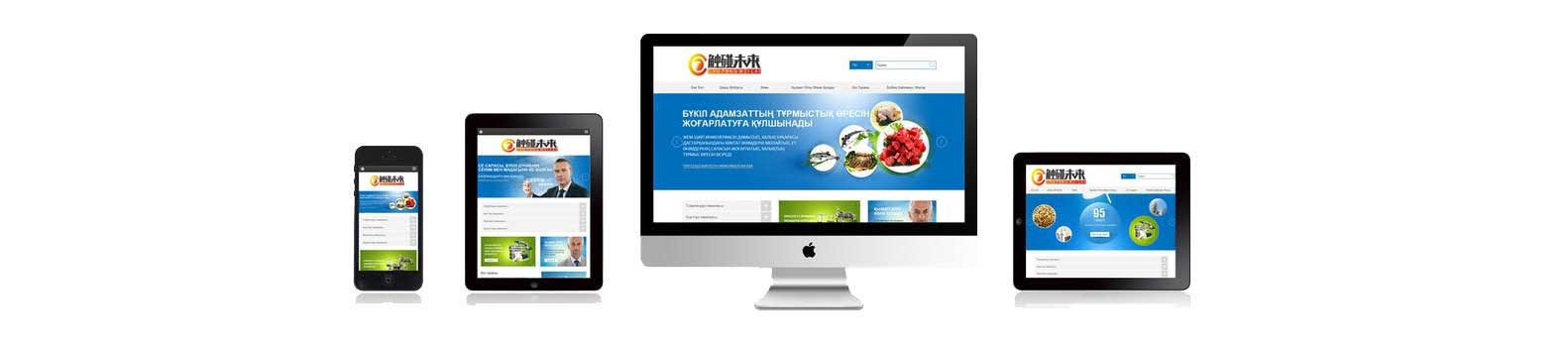 深圳市国外网站建设平台的崛起与发展插图 深圳市国外网站建设平台的崛起与发展插图