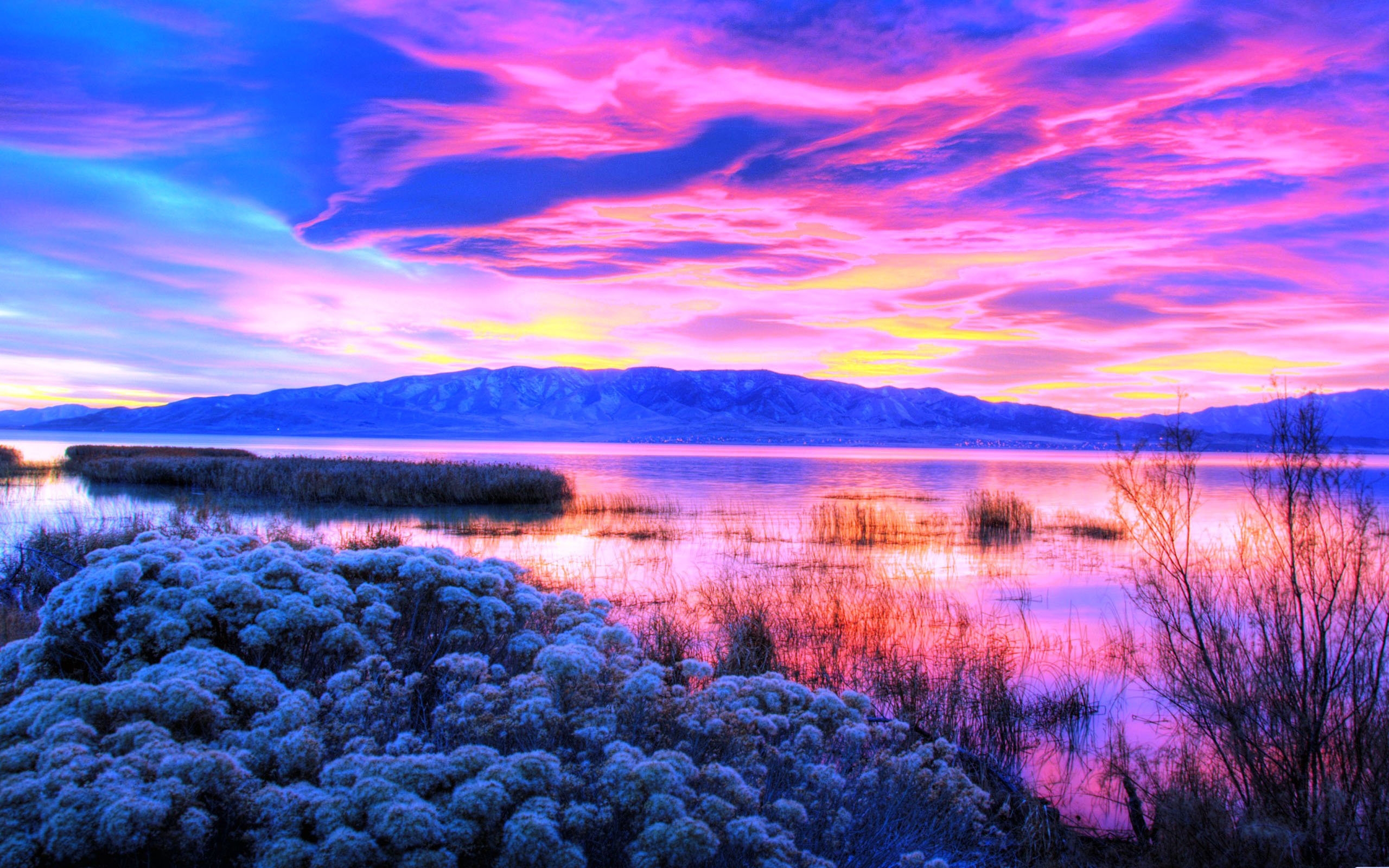 图片直播软件的选择与应用插图