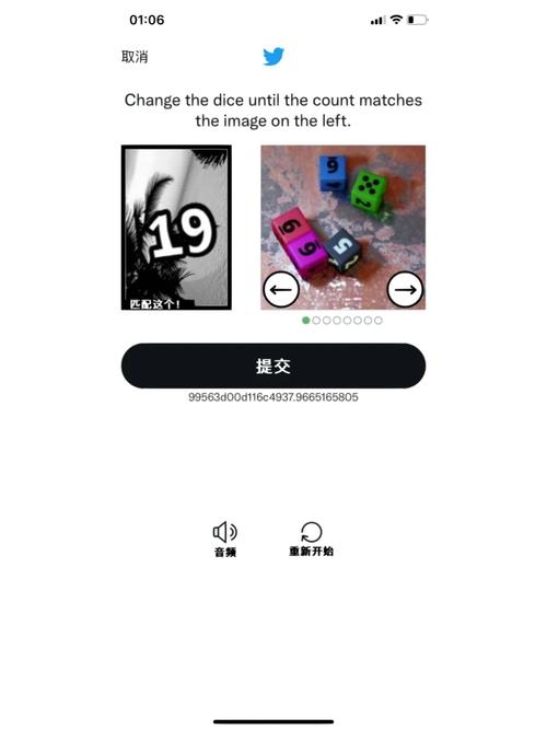 推特加速器与真人验证问题解决方案插图