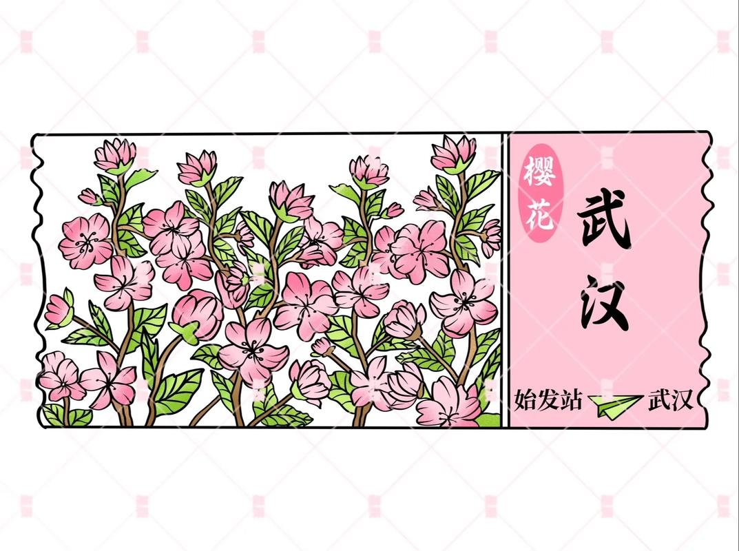 武汉樱花在线绘画插图