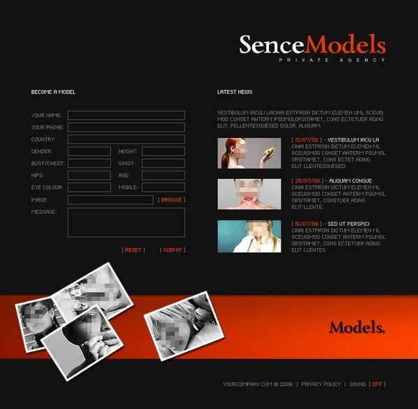 网页模板制作标准规范插图