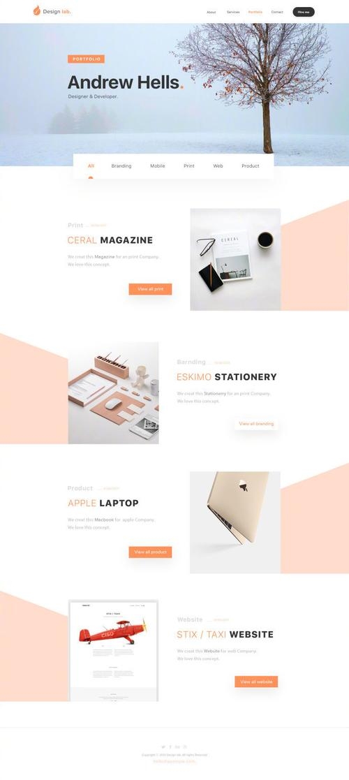 网站风格设计原则详解插图