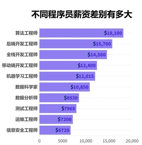 网站工程师与网络工程师的区别及工资概述，领域、产品线与职业发展差异对比标题建议如下，，网络工程师和网站工程师的职业区别与发展前景分析 或 数通核心网工程师的薪资与专业方向探讨。插图