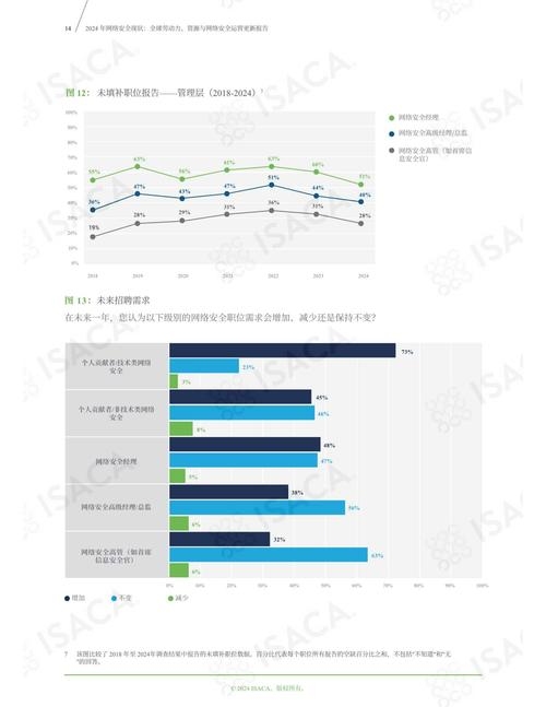 网站建设现状数据分析报告插图