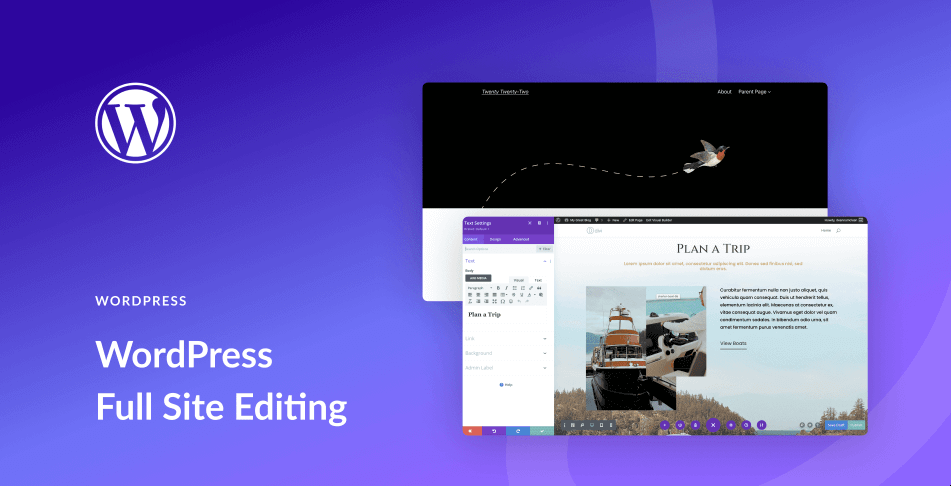 网站建设工具与软件一览插图