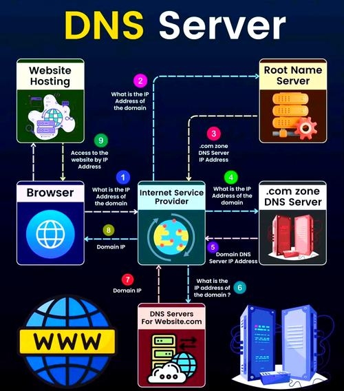 免费稳定主机与独立服务器解析，资源独占、性能差异及应用场景对比，Hosting24与美国HostGator简介及选择建议插图