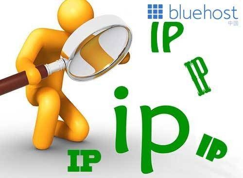 先进的SEO服务，站群服务器选择与生成式引擎优化策略插图