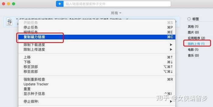 磁力链接与种子文件，P2P共享的两种形式插图