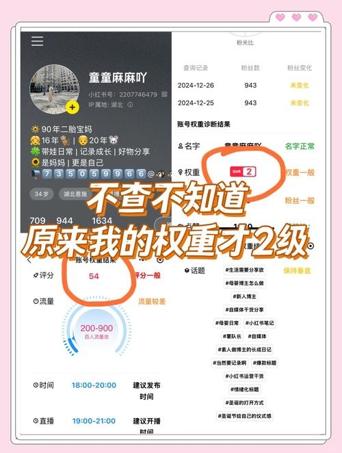 输入旺旺权重在线查询，全面解析与快速查询插图