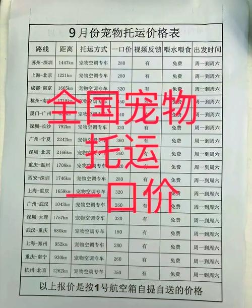 宠物托运公司排名及选择指南，专业可靠的公司推荐与收费标准解析插图