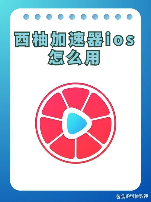 西柚加速器PC端下载官方指南插图