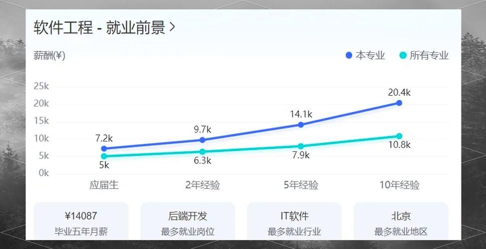 软件开发工程师的年薪，行业趋势与影响因素分析插图