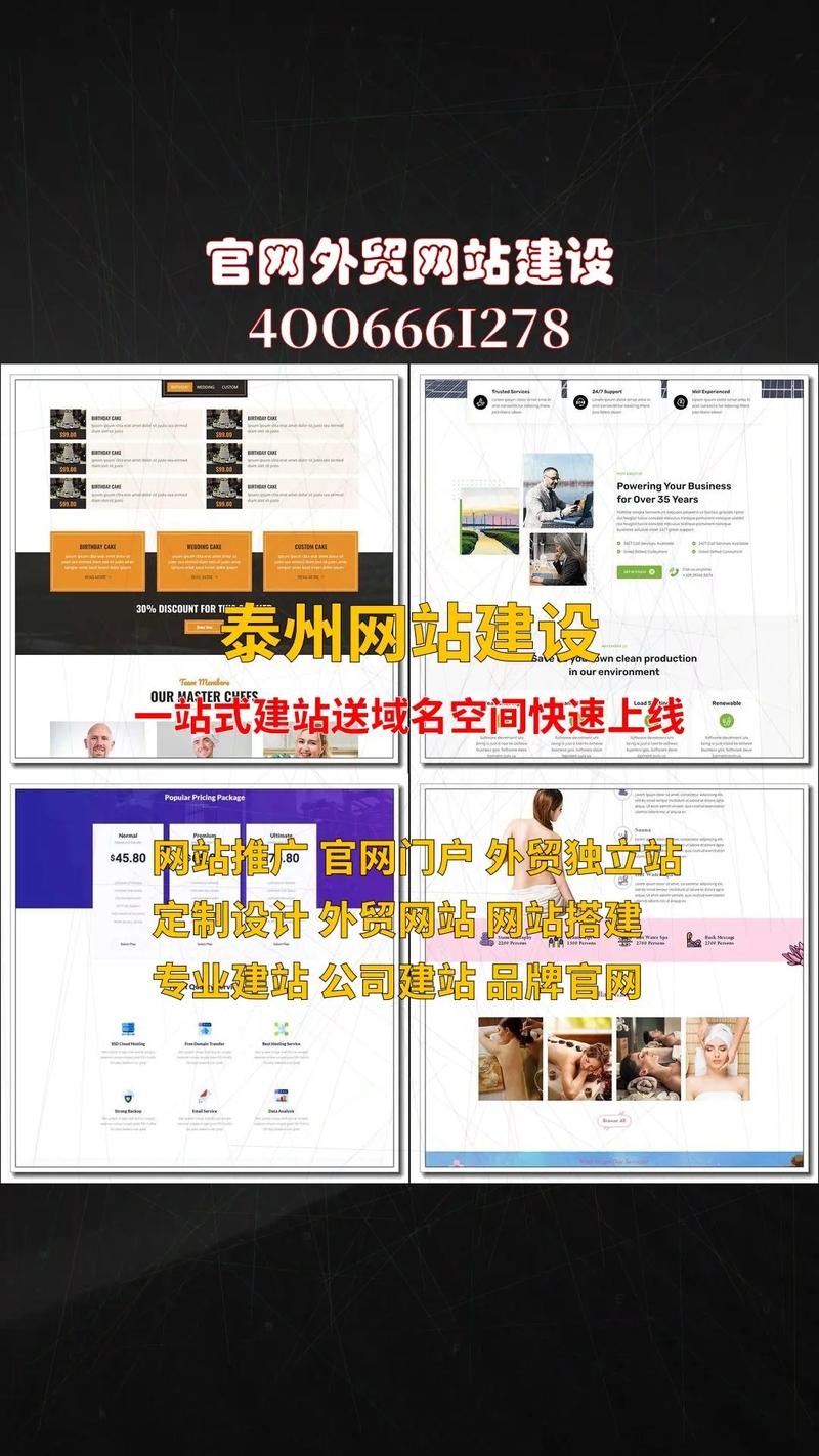 泰州网站建设方案服务全面解析插图