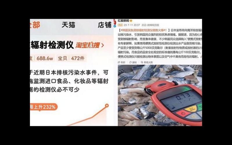 核辐射检测仪电商爆单背后的故事插图