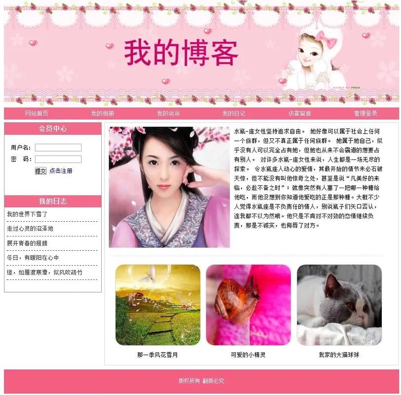 ASP商务网站源代码探索与编辑指南插图