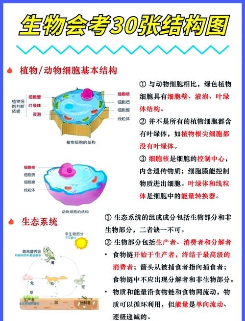 ASP生物化学,探索生命科学的奥秘插图 ASP生物化学,探索生命科学的奥秘插图