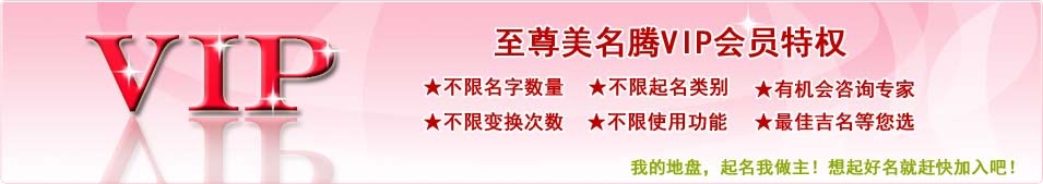 VIP网址一览,哪些网站的网址带有VIP元素?插图 VIP网址一览,哪些网站的网址带有VIP元素?插图