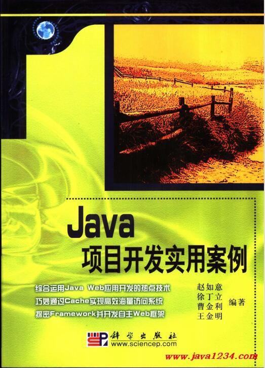 Java开发项目案例，构建电商平台的实践经历插图