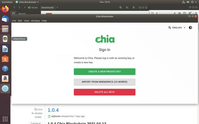 Chia币挖矿教程，Linux系统下的操作指南插图