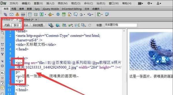 HTML中单选框（Radio Buttons）的设置方法插图