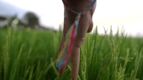 Mazwai简介及高清视频下载关键词查找指南插图 Mazwai简介及高清视频下载关键词查找指南插图