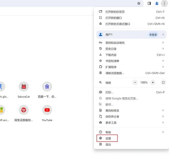 Chrome浏览器代理谷歌设置步骤详解插图